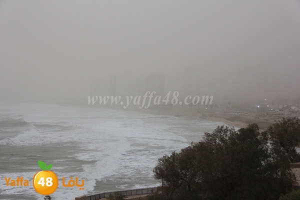 mina2 adrar jfe (21).jpg